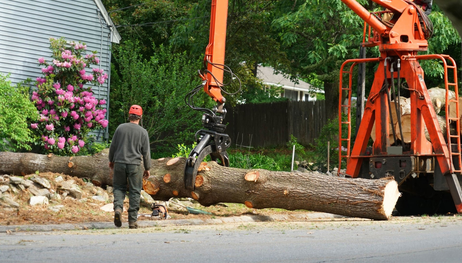 A branch has fallen in Chesapeake, Virginia yard during tree removal